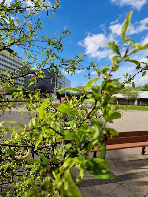 Mary Seacole Building