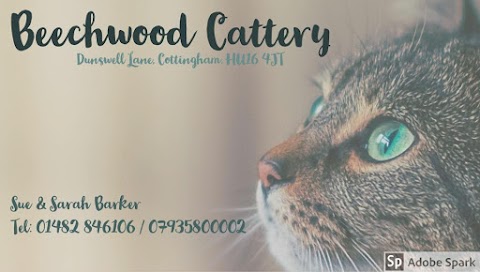 Beechwood Cattery