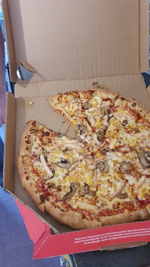 Domino's Pizza - London - South Tottenham