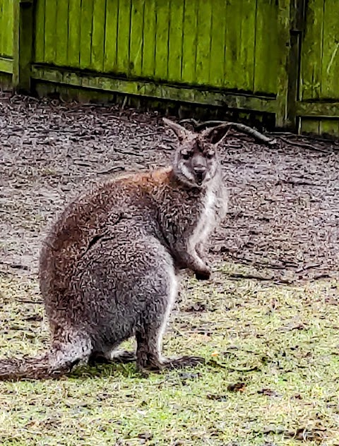 West Park Aviaries