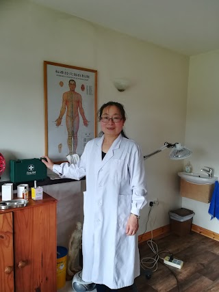 Dr Zhang's Chinese Medicine Clinc