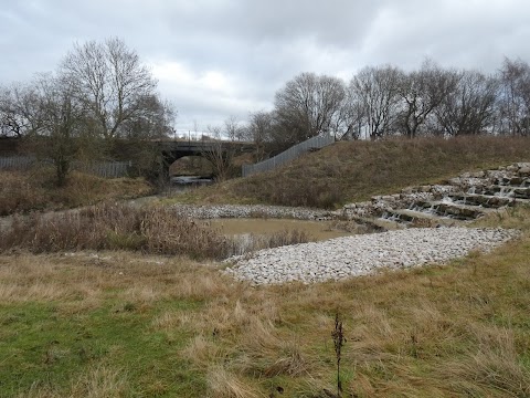 The Avenue Country Park