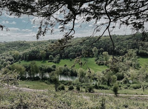 National Trust - Woodchester Park