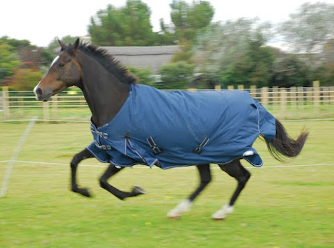 Stoke Rug Wash