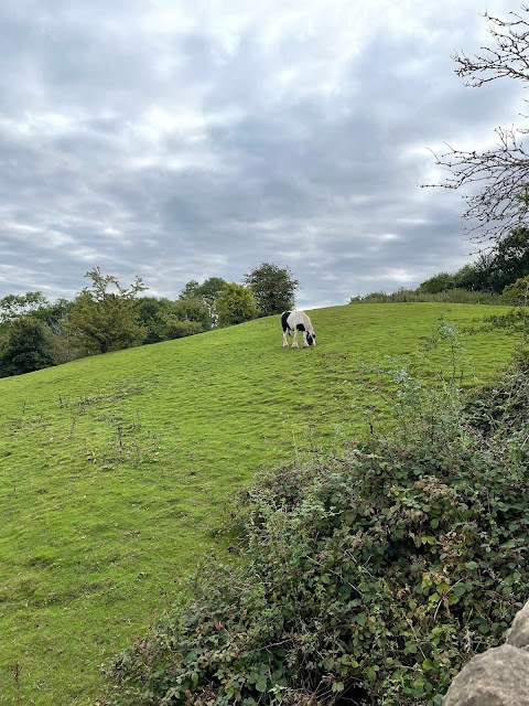 Chevin Forest Park