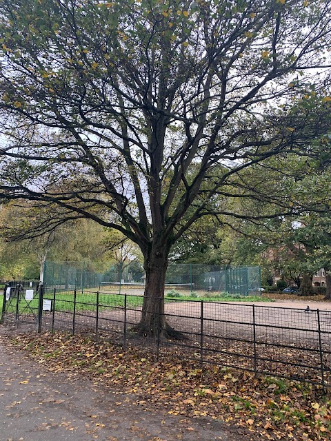 Myatt's Fields Park