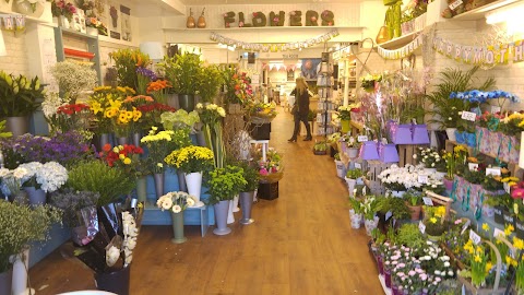 Joannes Florist