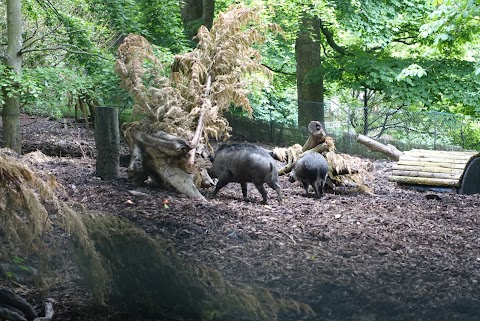 Edinburgh Zoo