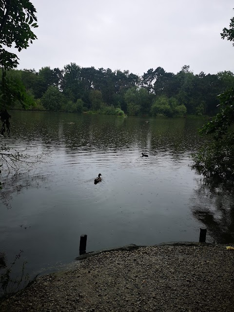 Shipley Country Park