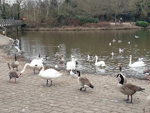 Rufford Abbey Country Park