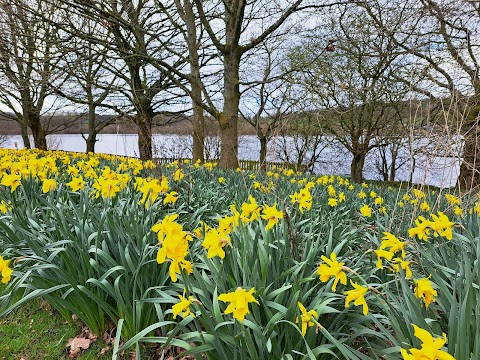 Tittesworth Water Car Park