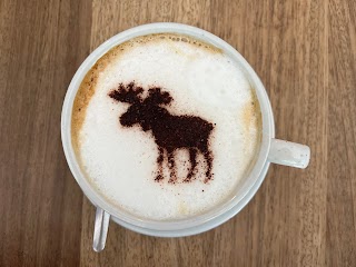 bigmoose coffee co.