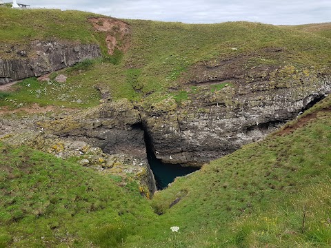 RSPB Scotland Fowlsheugh