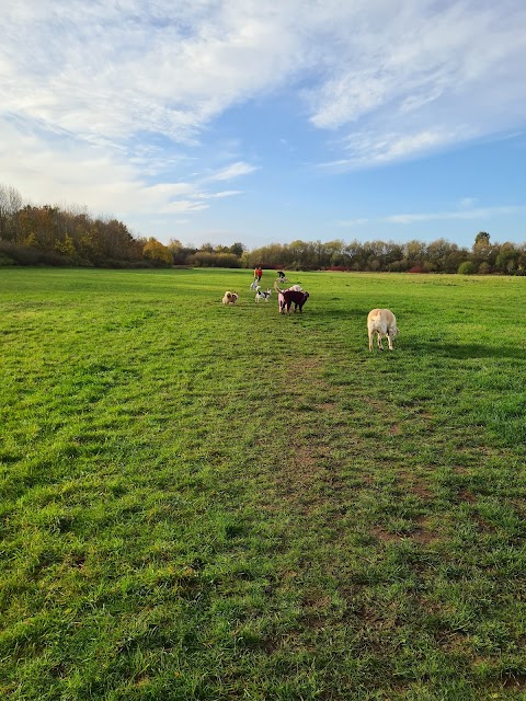 Broxtowe Country Park