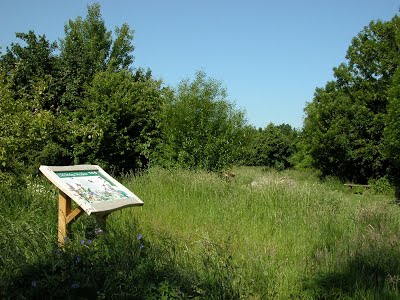 Old Bridge Meadow