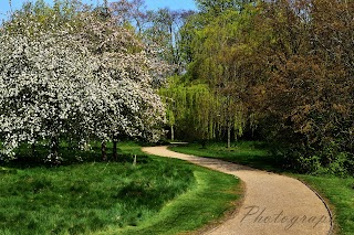 Attenborough Arboretum