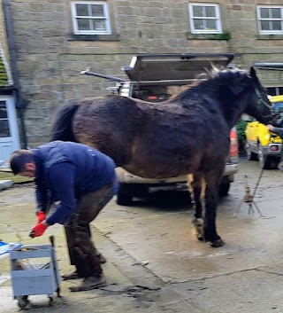 Hooves and Paws Pet and Equine Services