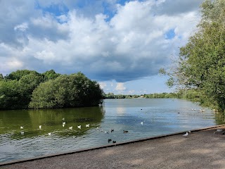 Dinton Pastures Country Park