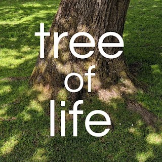 Tree of Life Counselling