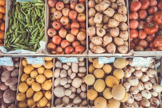 Finchley Food Store