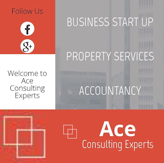 Ace Consulting Experts