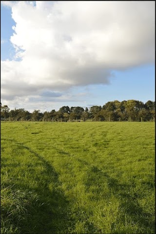 FM Luxury Boarding Kennels