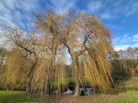 Eastrop Park