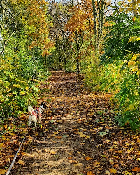 Recreation Area