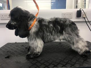 Poocilicious Dog Groomers