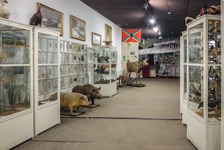 Білоцерківський краєзнавчий музей