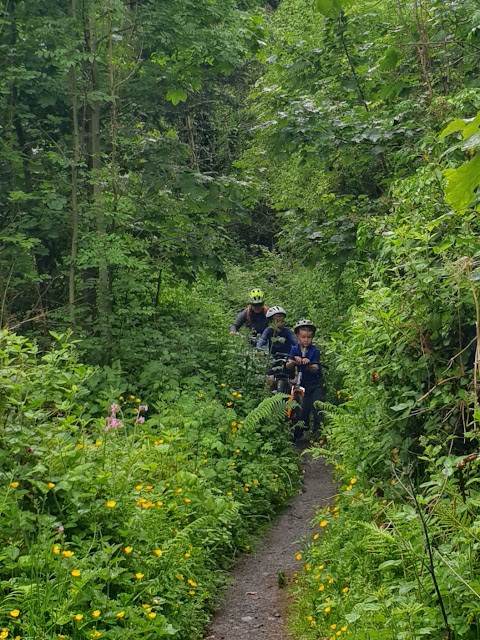 Barnett Demesne Trails & Jumps Park