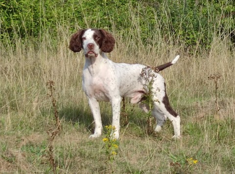 Wombourne Veterinary Centre