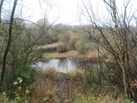 Beacon Wood Country Park