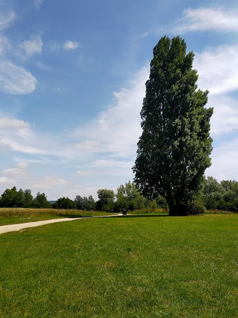 Leybourne Lake Watersports