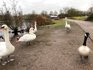 Westport Lake Playground