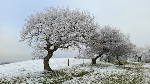 Waseley Hills Country Park