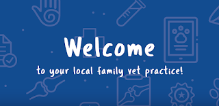 Goddard Veterinary Group, Stone Lion Veterinary Hospital