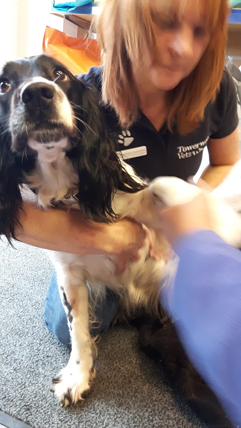 Towerwood Vets