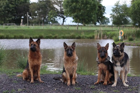 Unleashed Dog Adventure Park