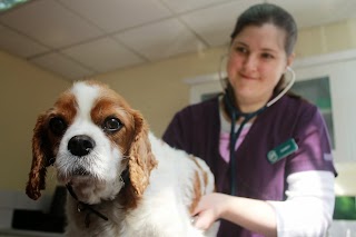 Animal Ark Vets in Ilford