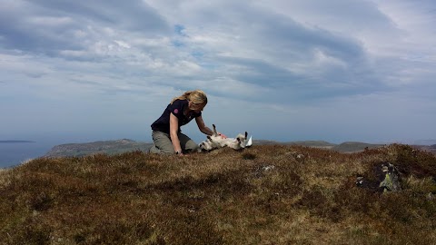 AllPets Veterinary Surgery