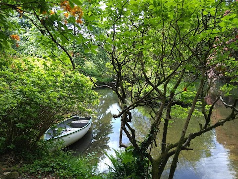 Lukesland Gardens and Tea Room