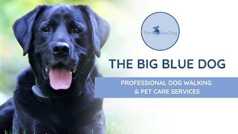 The Big Blue Dog Walking Services