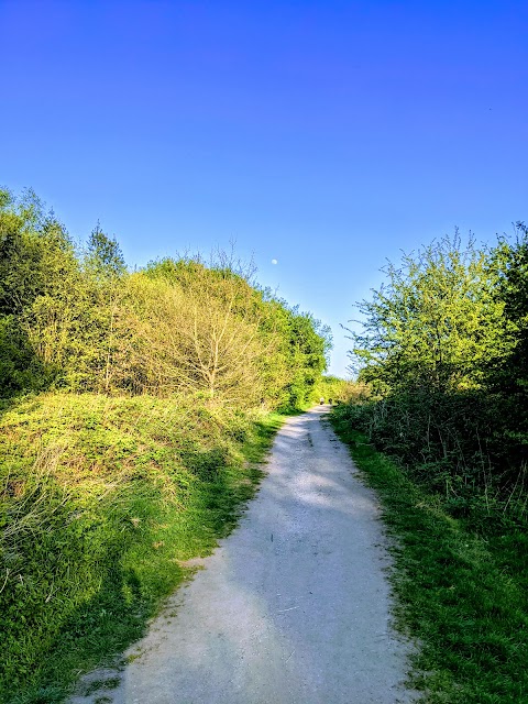 Highfield Country Park