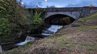 Dodder Valley Park