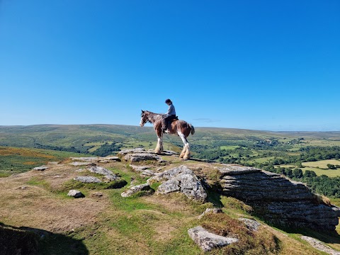 Adventure Clydesdale