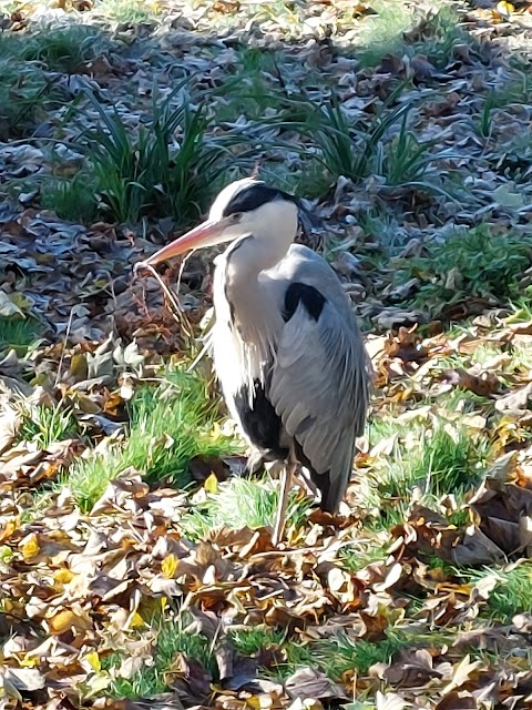 Harewood Bird Garden