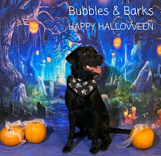 Bubbles & Barks Dog Groomers