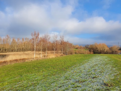 Leybourne Lakes Country Park