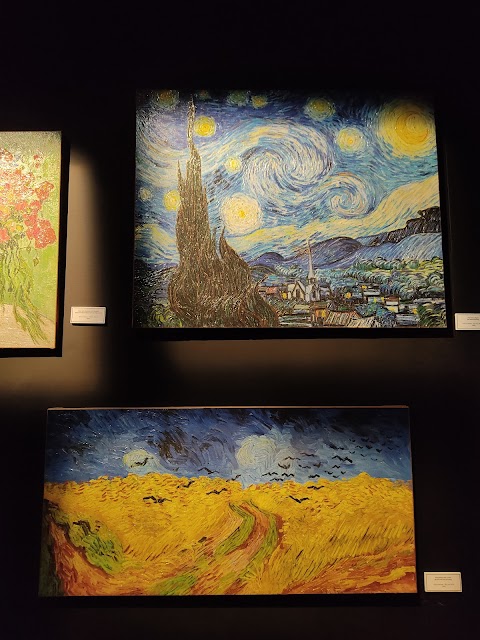 Van Gogh Belfast Exhibit: The Immersive Experience